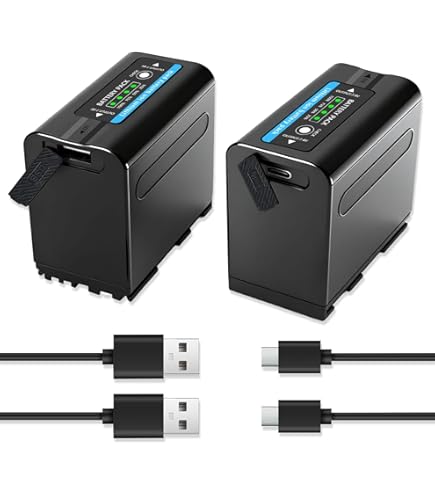 Amazon.com : NP-FV100 NP-FV100(A) High Capacity 'Intelligent